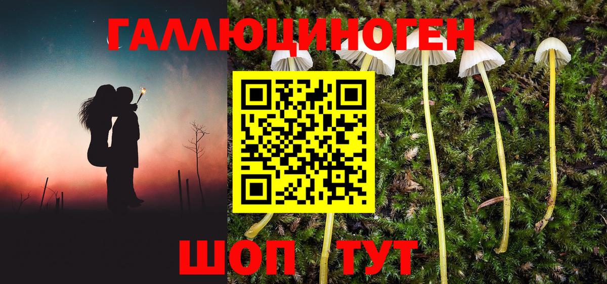 Верхняя Пышма  Галлюциногенные грибы Psilocybe  Вход с VPN 